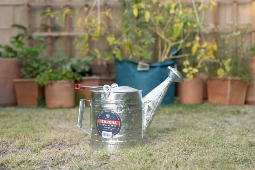 Behrens steel watering can