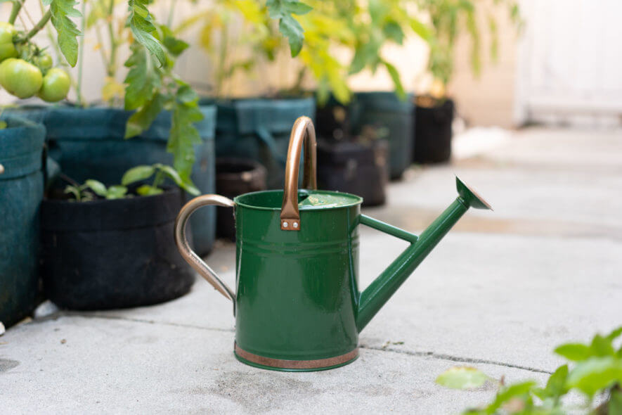 Green metal watering can