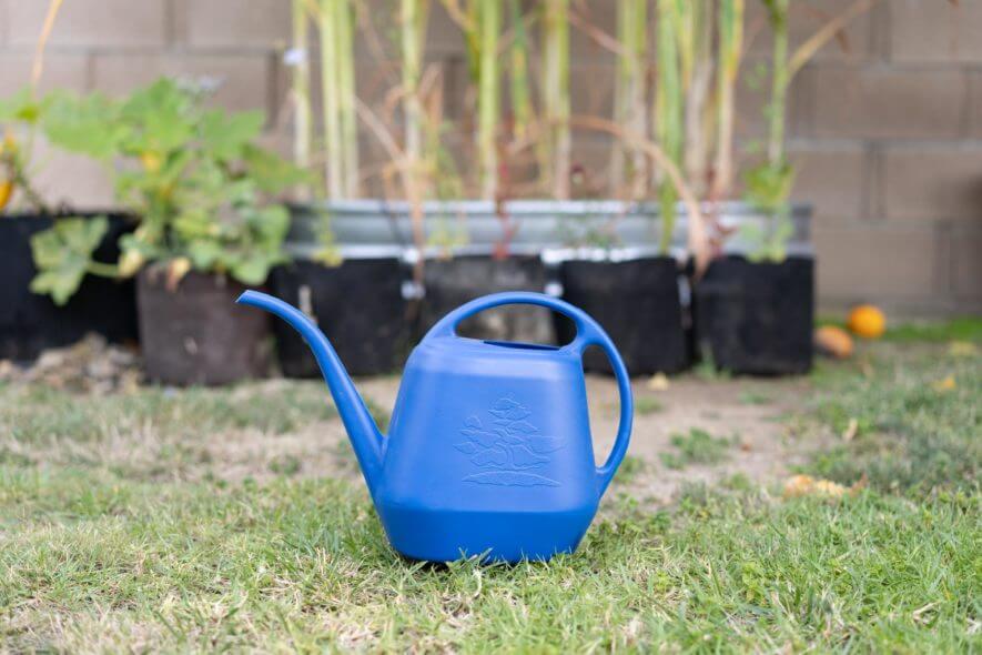 Blue watering can