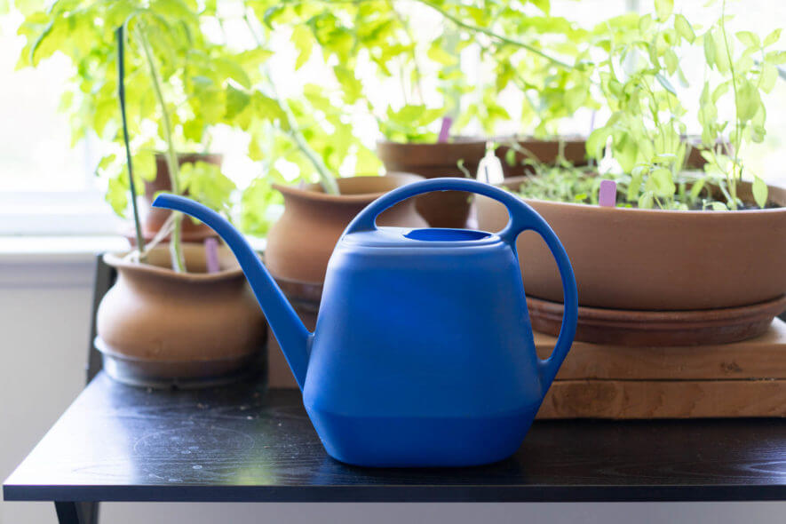 Large 1.2 gallon watering can