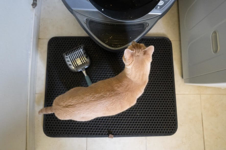 Litter Robot litter mat