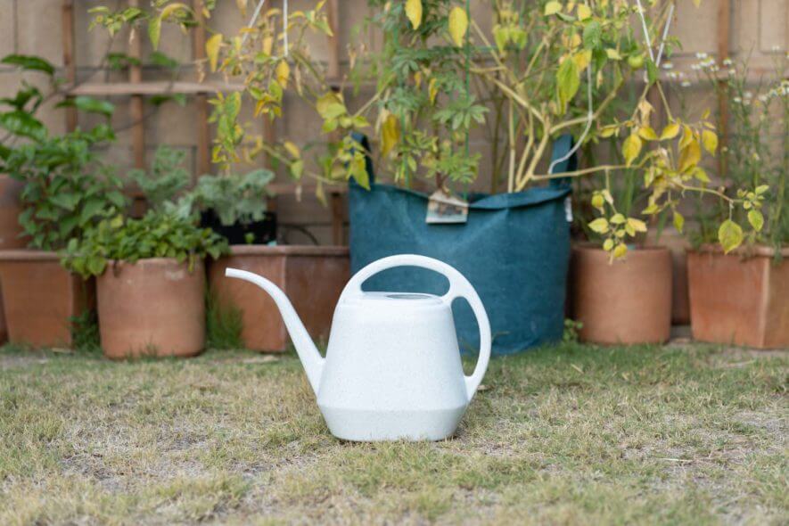 Fasmov 1 gallon watering can