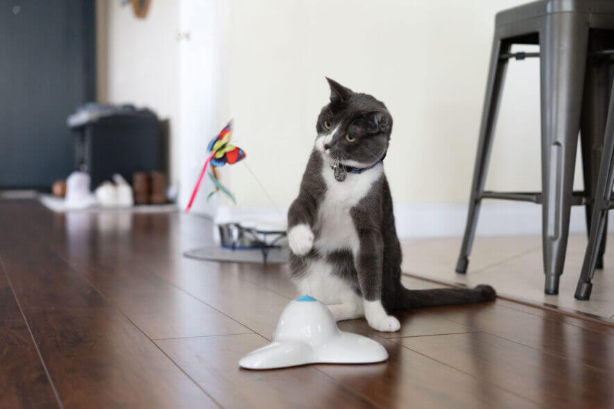 Flurff interactive butterfly toy