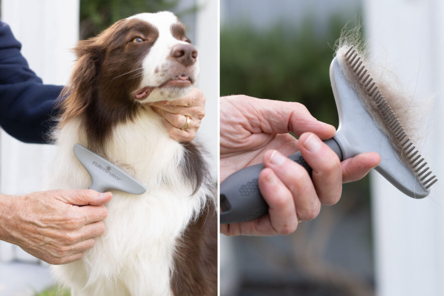 Furminator - grooming brush