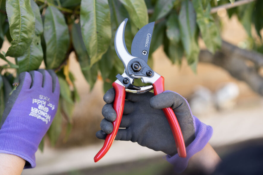 Gonicc professional shears