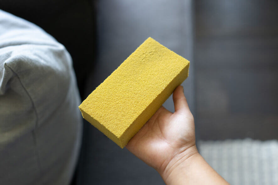 Gonzo pet hair lifter sponge