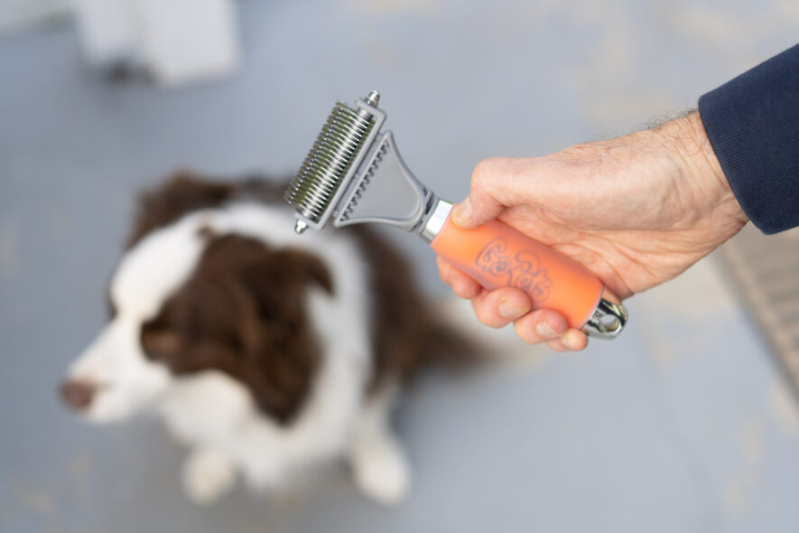 GoPets - grooming rake