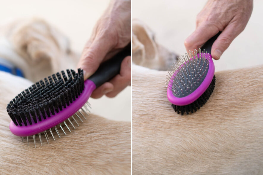 Hartz - Grooming Brush