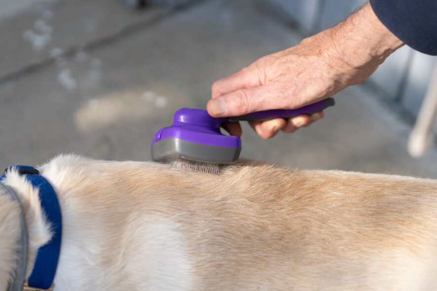 Hertzko - slicker brush