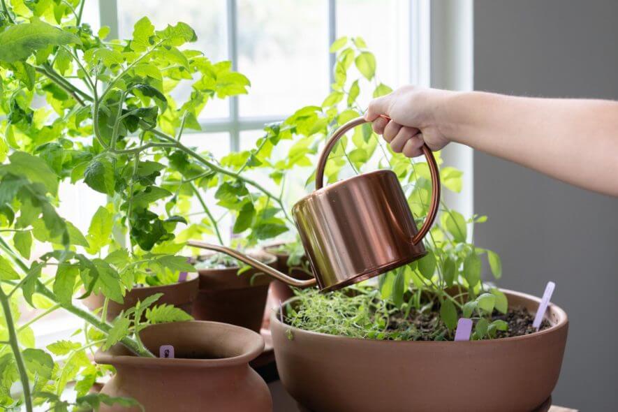 Homarden - copper colored watering can