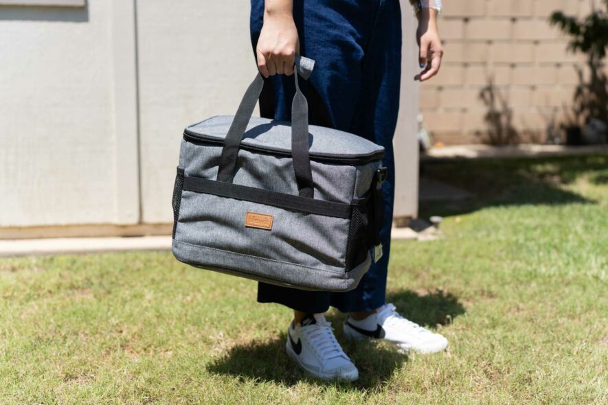 Lifewit - cooler bag