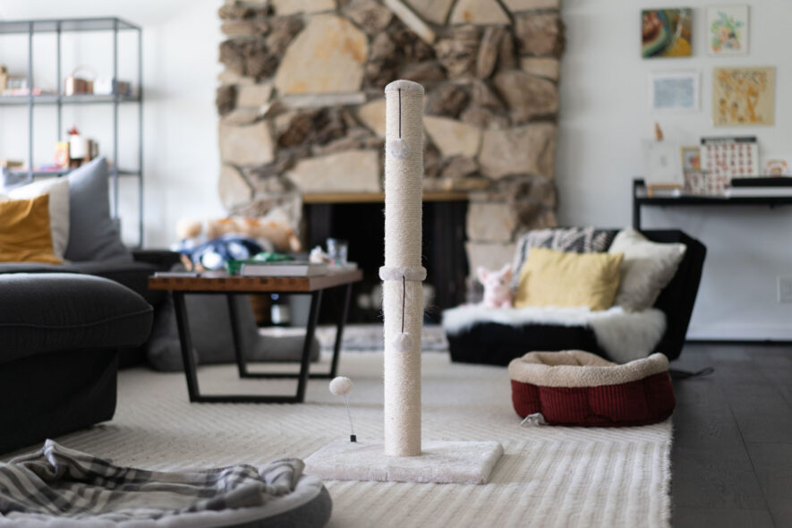 Mecool - tall cat scratching post