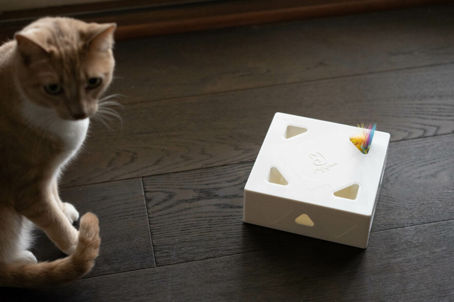 Migipaws - whack a mole toy