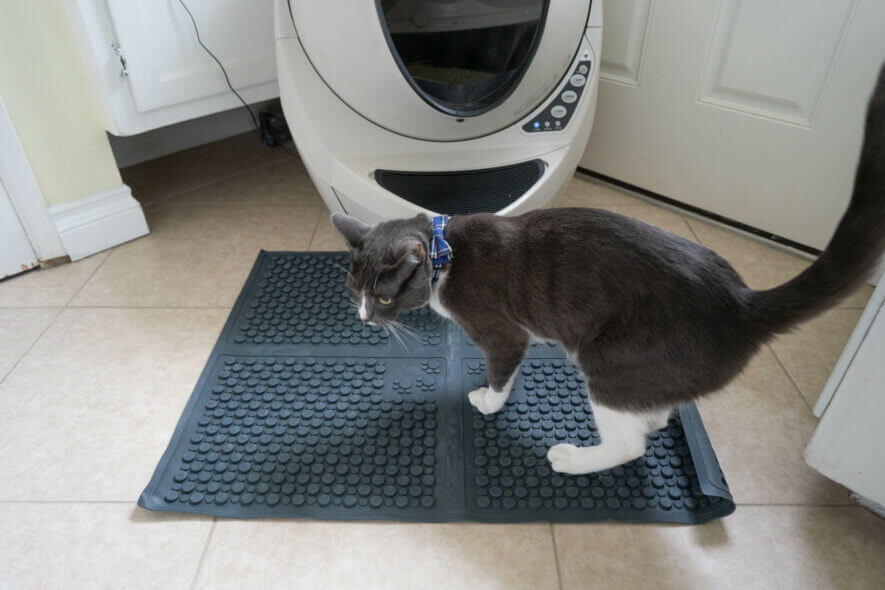 Petlinks cat litter mat