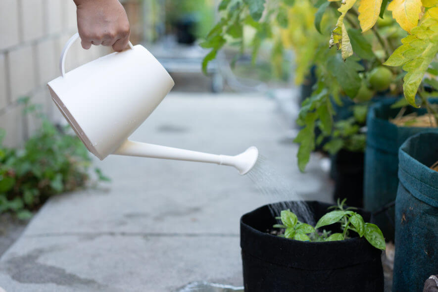 Qilebi white watering can