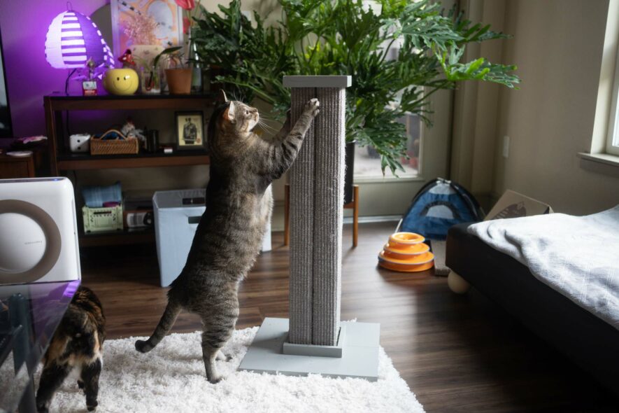 Smartcat - Ultimate Scratching Post