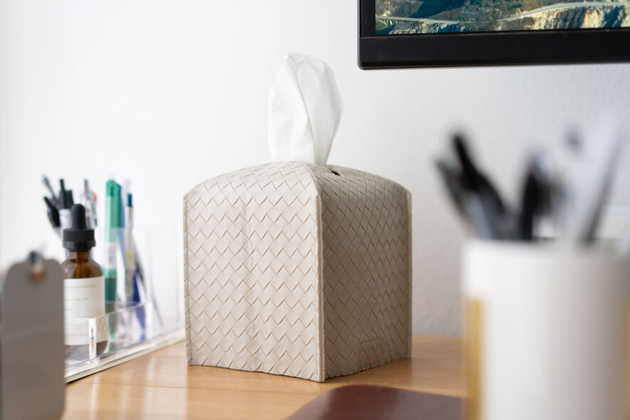 Zoocatia tissue box cover